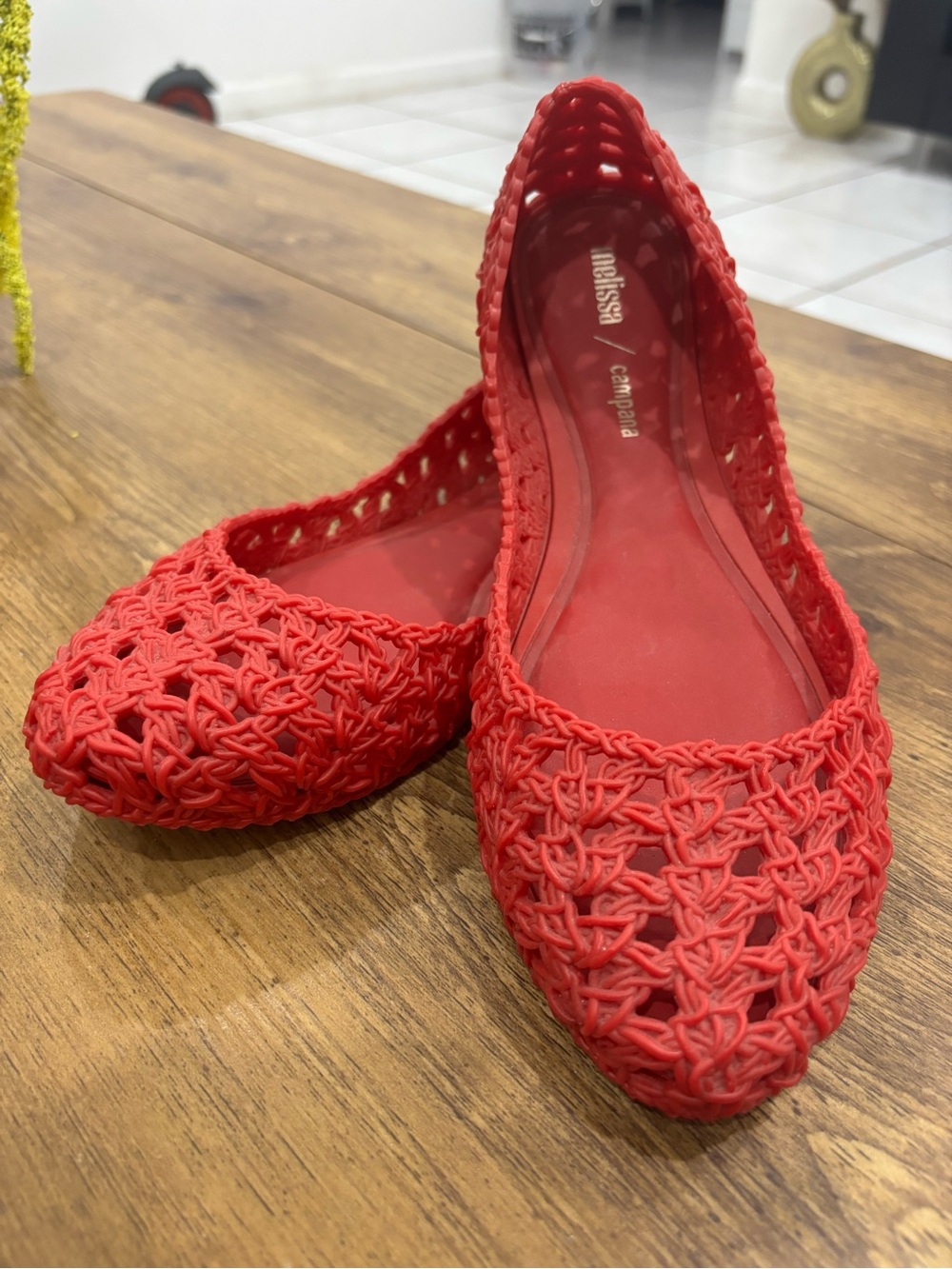 Melissa x Campana flats